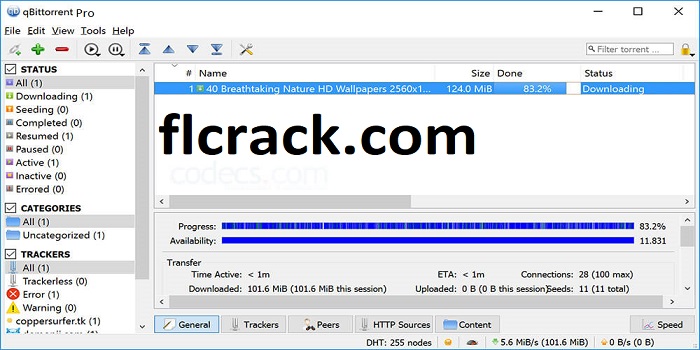 BitTorrent Pro Crack