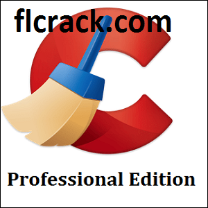 CCleaner Professional 6.16.10662 download the new for windows