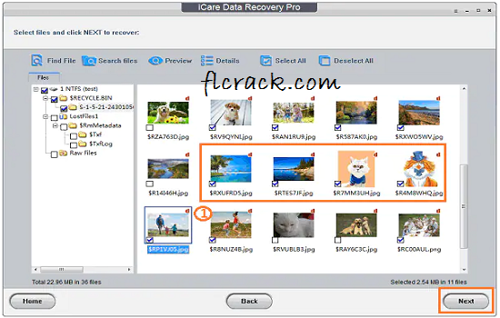 iCare Data Recovery Pro Crack (3)